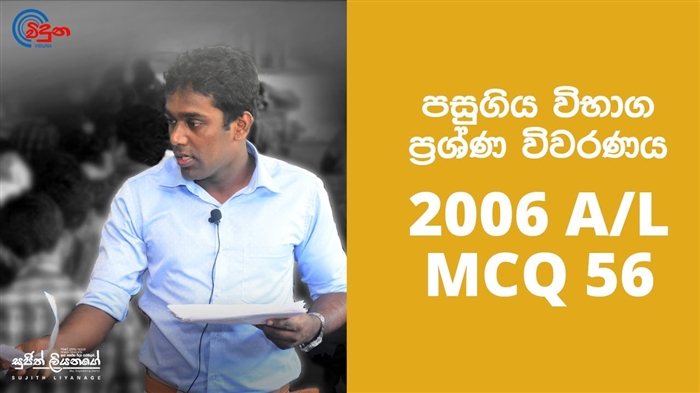 වීඩියෝ නිබන්ධනය: අර්ධ මැරතන් ධාවන දෝෂ