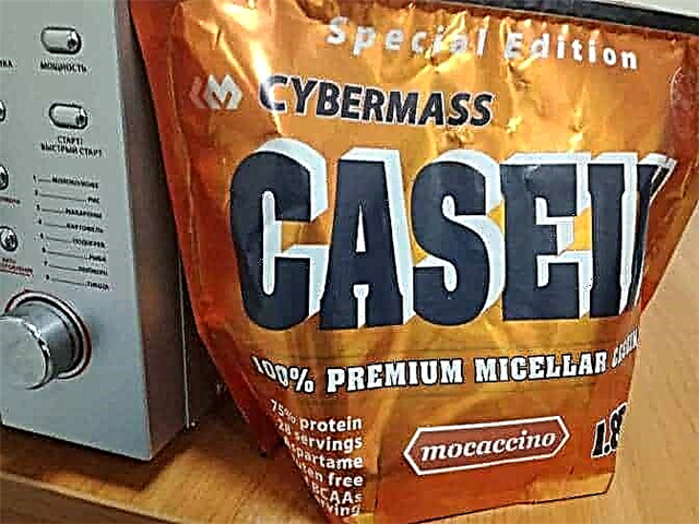 Cybermass Casein - รีวิวโปรตีน