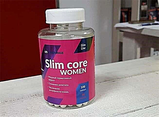 Cybermass Slim Core Women - gjennomgang av kosttilskudd