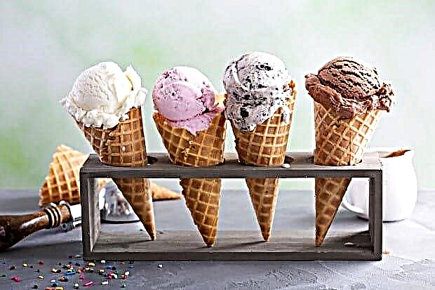Таблиця калорійності морозива