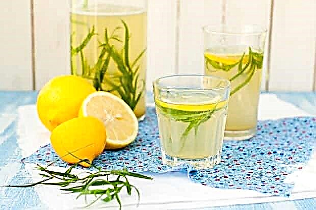 Limonada de estragón - receta paso a paso en casa