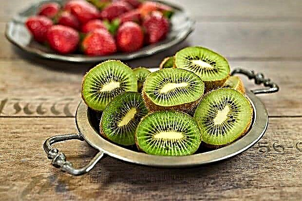 Kivo - la avantaĝoj kaj malutiloj de la frukto, konsisto kaj kaloria enhavo