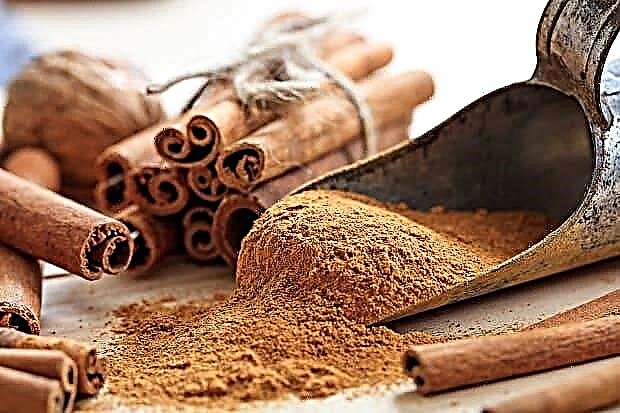 Cinnamon - cov txiaj ntsig thiab kev puas tsuaj rau lub cev, tshuaj lom neeg muaj pes tsawg leeg
