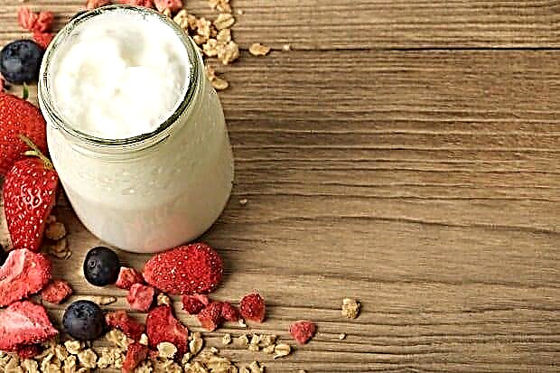 Jogurt - sastav, sadržaj kalorija i korisna svojstva