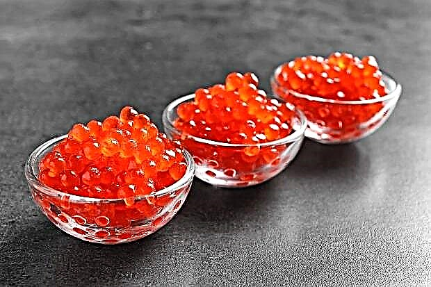 Kaviar merah - sifat dan bahaya yang berguna, kandungan kalori