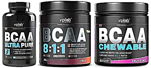BCAA deur VPLab Nutrition