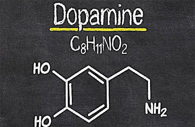 What is the dopamine hormone and how does it affect the body