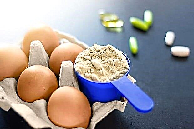 חלבון ביצה - יתרונות, חסרונות והבדלים מסוגים אחרים
