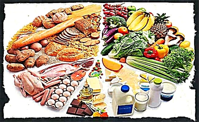 Diet zon - peraturan, produk dan menu sampel