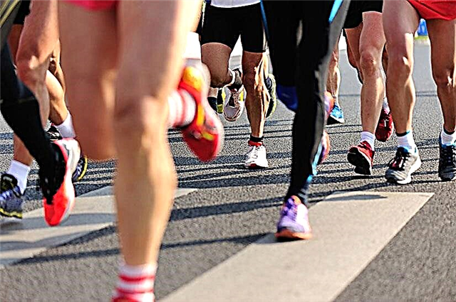 Half marathon - distance, records, preparation tips
