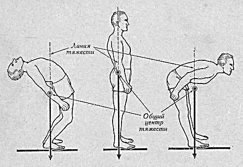 הבסיס של טכניקת הריצה הוא הנחת הרגל תחתיך